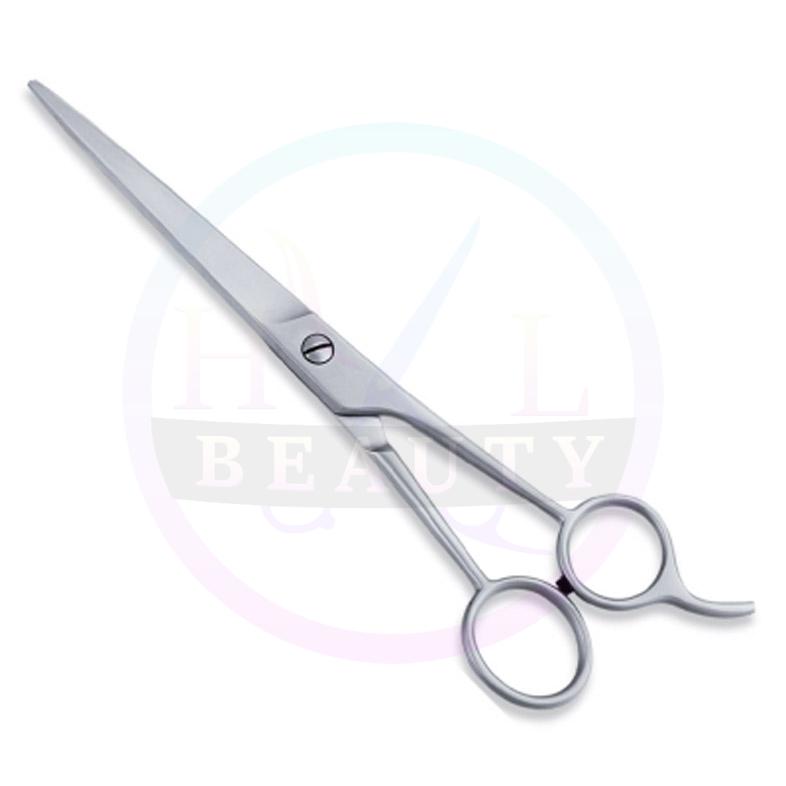  Economy Hair Scissors