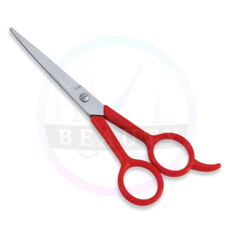  Economy Hair Scissors