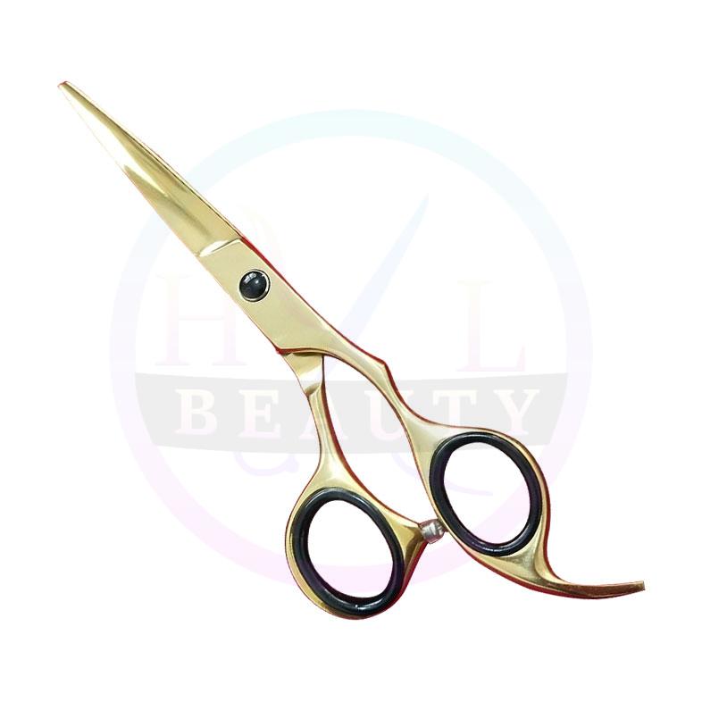 Barber Scissors  TITANIUM COATING  