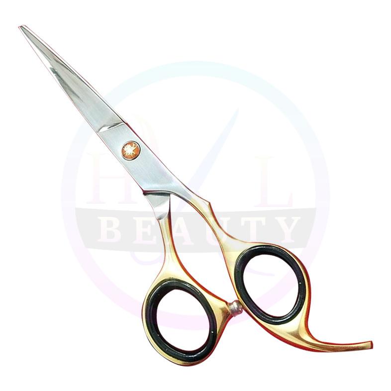 Barber Scissors  TITANIUM COATING  